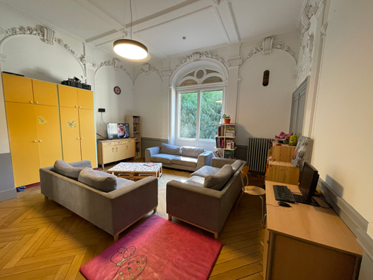 Salle de vie commune de la MECS du Domaine de l'Asnée, montrant une télévision, trois canapés, des étagères remplies de livres et des jeux de sociétés, un poste informatique, avec une fenêtre donnant sur un extérieur verdoyant.